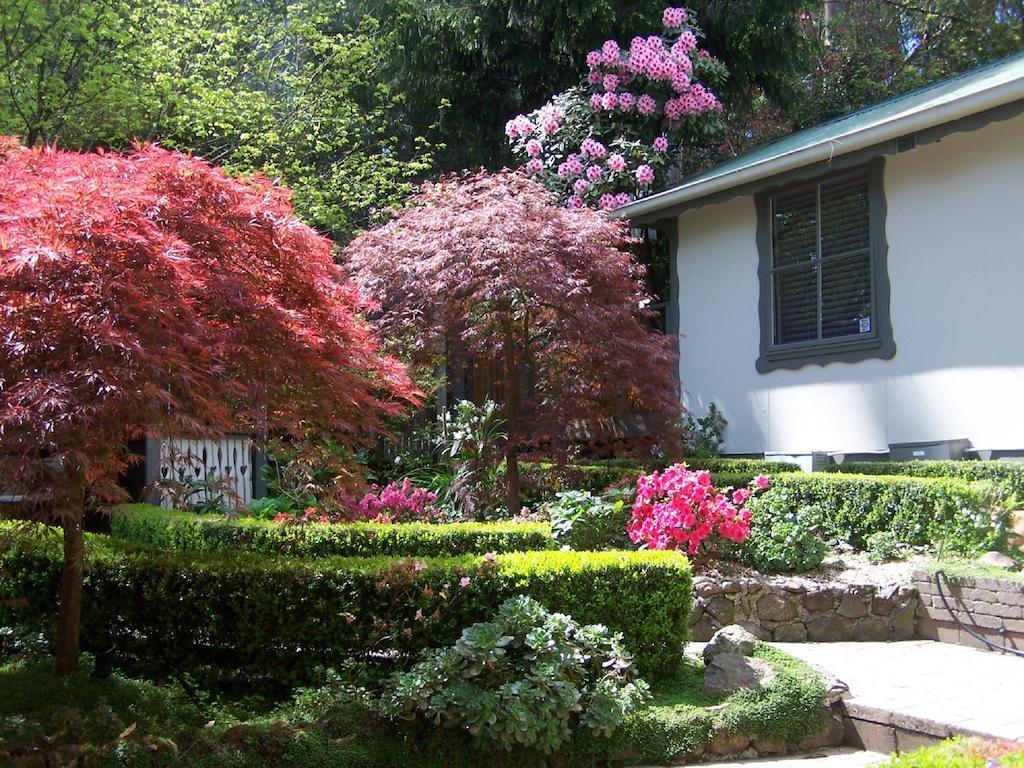 Annie Roes Luxury B&B Bend of Islands Exterior foto